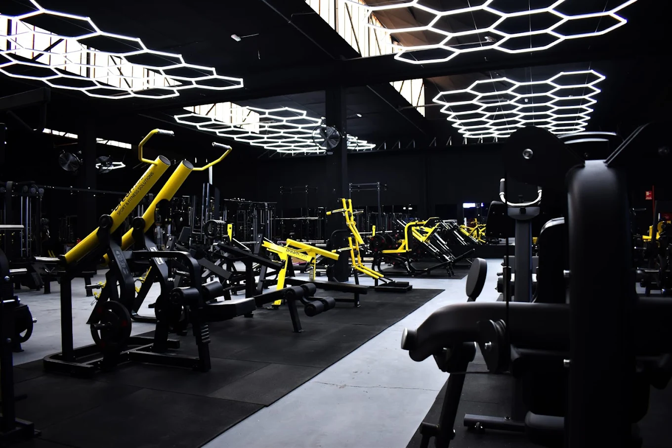 Musculacion